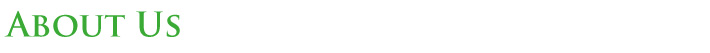 about NI Consulting